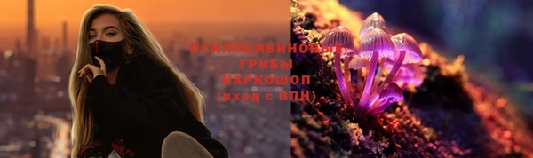 стаф Зеленокумск