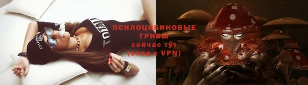 спиды Алексин