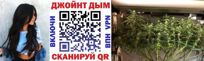 Бошки Шишки ГИДРОПОН  Березники 